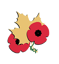 Veterans Affairs Canada